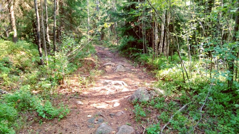 Singletrack @Finland
